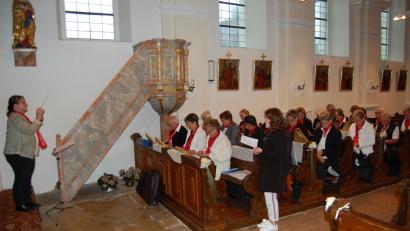 Bild: GRM, Autor [GRM]
Veh-Harfen-Orchester mit Leiterin Kornelia Kraus und Solosängerin Mirijam Denz in der Pfarrkirche in Michldorf.