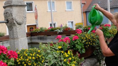 Bild: le
Johanna Lenkeit bei der Blumenpflege am Röhrkasten.