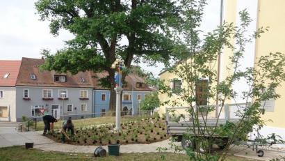 Bild: gi
Auch bei der Mariensäule an der Pfarrkirche haben die Mitarbeiter des Maschinenrings kleine Pflänzchen gesetzt.