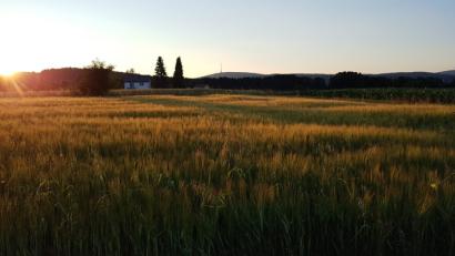 Bild: Marion Waschka