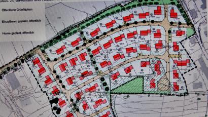 Bild: ds
Der Grünordnungsplan für das neue Baugebiet „Am Weihergarten“ mit den abgrenzenden Hecken am oberen Bildrand und den Baumreihen in der Erschließungsstraße samt Grünstreifen.