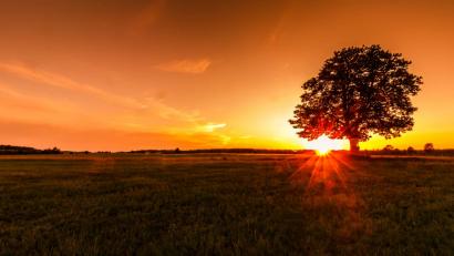 Bild: Bastian Götz
Farben des Sommers