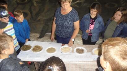 Bild: exb
Besuch beim Bauernhof in Kleinbüchlberg.