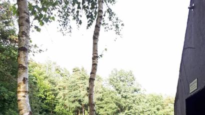 Bild: di
Die Asphaltkapelle bei Etsdorf war Ziel der Bibelewanderung des Frauenbunds.