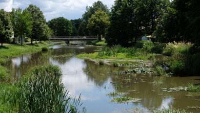 Bild: do
Die Creußen, ein naturbelassenes Flüsschen, das in Altencreußen bei Prebitz entspringt und in die Haidenaab mündet, sorgt im Gemeindebereich Speinshart für Unbehagen. Natur ja, Verlandung nein, hieß es in der jüngsten Gemeinderatssitzung. Seit Jahren drängt die Kommune darauf, dass das kleine Rinnsal, das bei Hochwasser auch zum reißenden Bach werden kann, entlandet wird.  Die Sedimente stauen sich bedenklich,  bemerkte Bürgermeister Albert Nickl in der jüngsten Ratssitzung. Für jedermann sichtbar fallen die Ablagerungen im Bereich Tremmersdorf besonders auf (unser Bild). Der Bürgermeister drängt deshalb auf eine nachhaltige Entlandung. „Es muss sich etwas tun“, appellierte der Rathauschef an das Amt für Wasserwirtschaft und an den Freistaat. Das Gewässer steht im Verantwortungsbereich des Staates.