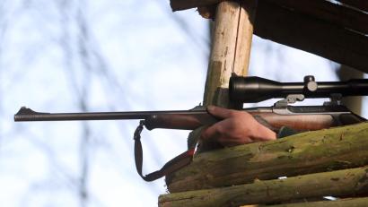 Bild: Bernd Wüstneck/dpa
Unbekannte Täter haben zwei Hochsitze für Jäger gesprengt.