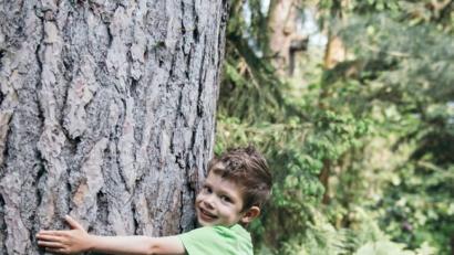 Bild: exb
Die Herz-Operation des fünfjährigen Basti in den USA ist nach Aussage der Ärzte positiv verlaufen. Nun müsse man abwarten, dass sich die angesammelte Flüssigkeit im Bauch des Buben zurückbildet.