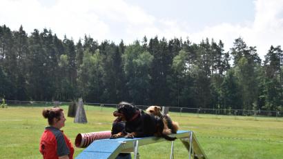 Bild: exb
Die Ortsgruppe gestaltete den "Tag des Hundes" mit diversen Vorführungen.