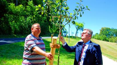 Bild: Andreas Royer
Von Stadtgärtnermeister Klaus Herbst (links) ließ sich Bürgermeister Michael Göth die alten Hochstamm-Obstbaumsorten vorstellen.