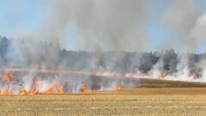 Bild: dob
Beim Dreschen gerät ein Gerstenfeld bei Vohenstrauß in Brand.