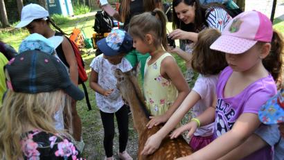 Bild: Gradl, Renate [RGR]
Das Highlight war das Füttern der zahmen Rehe.
