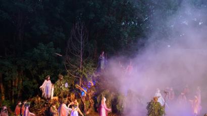 Bild: mmj
Wichtel, Elfen und Nebelfrauen tanzen ab heute beim Freilichtspiel "Irrlichter" am Eulenberg in Friedrichshäng (Stadt Schönsee).