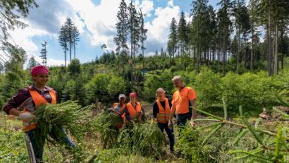Bild: exb
Voller Einsatz für die Natur: Akberet Guesh und Diana Mheretad, beide aus Eritrea stellen gemeinsam mit Adelheid Rader und Petra Murr von der Franz-Oberthür-Schule in Würzburg einen Bachlauf am Ochsenkopf frei. Toni Eichermüller vom Forstbetrieb Fichtelberg leitet sie dabei an. (v.l.n.r.)