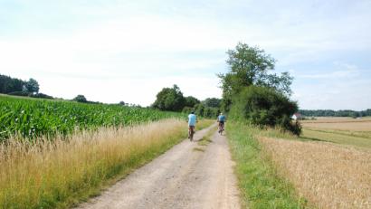 Bild: Schorner, Alfred [SCHE] (a.schorner@t-online.de)
Ein 550 Meter langes Teilstück soll den Lückenschluss im Radwegenetz zwischen Amberg und Hirschau bringen. Die Kosten werden anteilig zwischen der Straßenbauverwaltung und der Gemeinde verteilt.
