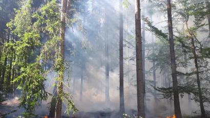Bild: Feuerwehr Sorghof
Noch hält sich die Wucht des Brandes in Grenzen. Zum Glück wurde das Feuer rechtzeitig aus der Luft entdeckt.
