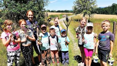 Bild: jml
Nicht nur ihre schön mit Pflanzen dekorierten Astgabeln bringen die Kinder von der Kräuterwanderung mit nach Hause, sondern auch zwei kleine Eimer mit Äpfeln von der Streuobstwiese.