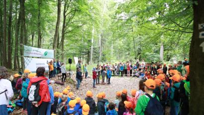 Bild: njn
Bei den Waldjugendspielen kamen die Schüler der dritten Klassen des Landkreises der Natur näher.