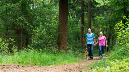 Bild: stock.adobe.com/ Ivonne Wierink
Schon ein kurzer Spaziergang im Park oder in der freien Natur hebt die Stimmung.