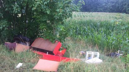 Bild: Andreas Royer
Die rote Couch, Beistelltische und Sessel landeten neben einem Maisacker.