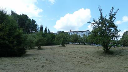 Bild: Amann
Im einstigen Krankenhaus-Park entsteht ein Sondergebiet für Handel. Rewe wird sich hier als Vollsortimenter ansiedeln, dazu soll es voraussichtlich zwei Fachmärkte geben.