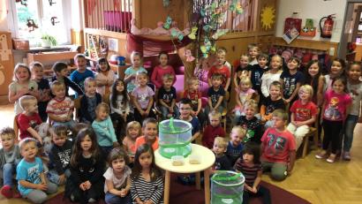 Bild: njn
Gespannt verfolgen die Kinder in den nächsten Tagen die Verwandlung zum schönsten Schmetterling.