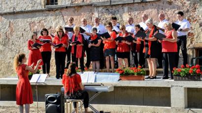Bild: fdl
Der gastgebende Gemischte Chor des Gesangvereins 1860 überzeugt bei der Mittsommerserenade im Schlosshof insbesondere bei seinen deutschsprachigen Liedbeiträgen. Am Piano werden die Sänger wie auch Sopran-Solistin Jana Müller (vor der Bühne stehend) von Iryna Herrmann (sitzend) begleitet.