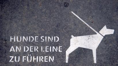 Bild: Daniel Naupold/dpa
Auf der Liegewiese des Weiherhammerer Baggerweihers gelten seit kurzem neue Spielregeln: Hunde sind an der Leine zu führen.