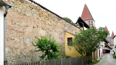 Bild: Petra Hartl
Der Efeu, der die Stadtmauer im Bereich der Jesuitenfahrt bedeckt hat, war Thema im Umweltausschuss. War es nun erlaubt oder hat sich die Stadt Amberg strafbar gemacht, wollte Hans-Jürgen Bumes von den Grünen wissen.
