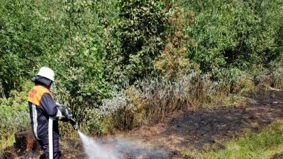 Bild: ak
Nahe der Kreuzung der Kreisstraße TIR 21 und der Gemeindeverbindungsstraße Oberwappenöst-Witzlasreuth brennt am Donnerstagnachmittag der Straßengraben.