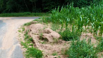 Bild: jml
Die betroffenen Landwirte haben, so gut es geht, die ausgeschwemmte Erde von der Straße geholt und sie zum provisorischen Schutzwall angehäuft.