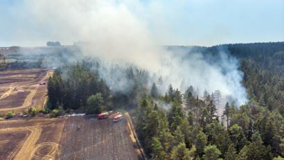 Bild: Johannes Krey/dpa
Wegen des trockenen Hitzewetters steigt wieder die Gefahr von Waldbränden.