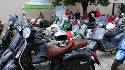 Bild: gag
Wespen-(Vespa-)schwarm in Schwarzenbach