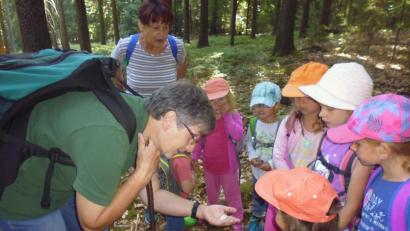 Bild: ak
Die Elefanten-Gruppe ist mit Försterin Anette Schödel im Wald unterwegs.