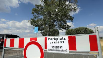 Bild: Wolfgang Steinbacher
Während in der Stadt Amberg schon an einem Konzept zum Umgang mit dem Eichenprozessionsspinner gearbeitet wird (im Bild ein gesperrter Parkplatz bei Ammersricht), ärgert sich ein AZ-Leser über die Aussage von Bürgermeister Josef Reindl im Kreisausschuss, dass es sich um ein mehr mediales denn reales Problem handle.