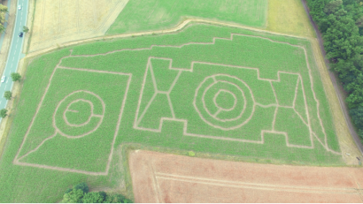 Bild: adj
Auch wenn die Pflanzen nicht sie richtige Höhe erreichen, das Maislabyrinth in Altenstadt wird geöffnet.