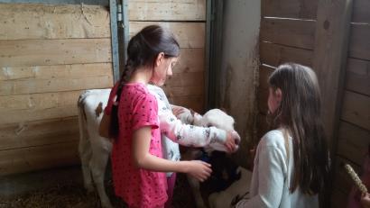 Bild: nn
Wie süß! Bei einem Ausflug dürfen die Kinder der Pressather Grundschule die Tiere streicheln.