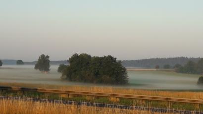 Bild: Elisabeth Dobmayer
Ein Sommermorgen erwacht.