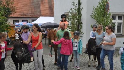 Bild: dob
Das Ponyreiten war eine Wucht für Kinder. Seit die Familie Malzer im Luhetal wohnt, ist auch für einen Ausritt gesorgt.