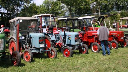 Bild: lk
Die vielen Bulldogs, vom Oldtimer bis zum neuesten Traktor, die von den vielen Besuchern bestaunt wurden.