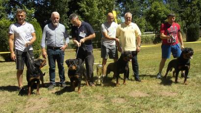 Bild: ads
Sieger der 12. Oberpfalzschau (von links): Vesna Bonovic mit Sally vom Wilden Westen, Richter Gerard O´Shea, Darko Modric mit Flavia von der Maxirott, Srdjan Knezevic mit Vico von der Maxirott, Richter Edgar Hellman, Ljuba Latinovic mit Tino Earl Antonius.