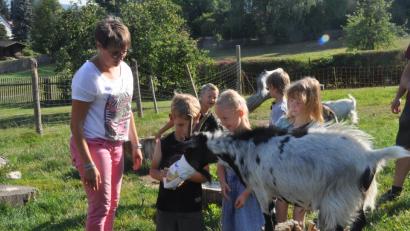 Bild: dob
Zum zweiten Mal in Folge wurde Kinderpflegerin Julia Dobmayer aus der Kindertagesstätte Don Bosco mit den Kindern aus Natur- und Umwelt mit einem Zertifikat der "ÖkoKids" ausgezeichnet. Jetzt stand der Besuch von Kamerunschafen und Zwergziegen bei Familie Sommer an. Die Mädchen und Buben hatten ihre helle Freude daran.