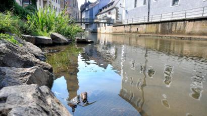 Bild: Stephan Huber
Die Vils ist nur noch ein seichtes Bächlein. Der fehlende Regen lässt den Wasserstand auf ein Rekordtief sinken.