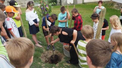 Bild: gz
Die vierte Klasse pflanzt zum Abschied mit Schulleiterin Bianca Ederer einen Apfelbaum.