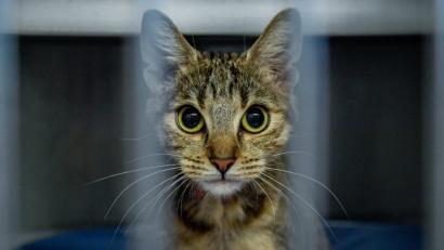 Bild: Axel Heimken/dpa
Symbolbild.