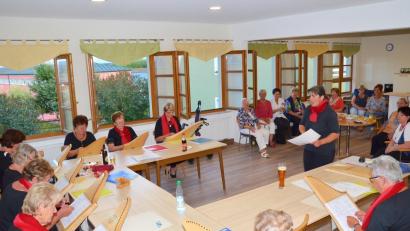 Bild: fjo
Petra Zielbauer (stehend) aus Heumaden dirigiert die "Veeh-Harfen-Gruppe".