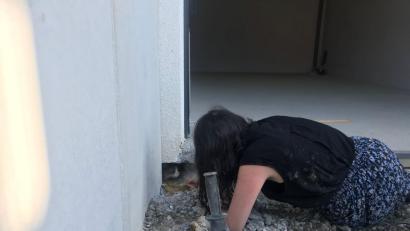 Bild: Polizei Karlsruhe
Endlich in Freiheit: Die Katze wird gerettet.