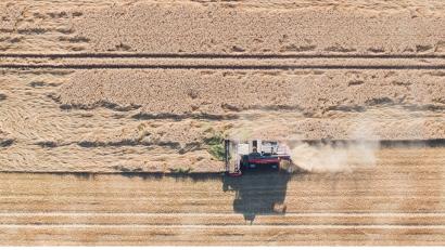 Bild: Julian Stratenschulte/dpa
Landwirte befürchten eine schlechte Ernte.