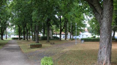 Bild: sne
Wie könnte der Pressather Stadtpark in Zukunft aussehen? Darüber diskutiert der Stadtrat in der Julisitzung.