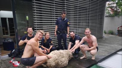 Screenshot: Twitter/Polizei Mittelfranken
Die Retter und das Schaf.