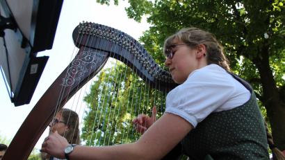 Bild: Uli Piehler
Michaela Stauber an der Harfe - einer der wenigen, die im Landkreis Amberg-Sulzbach gespielt werden.